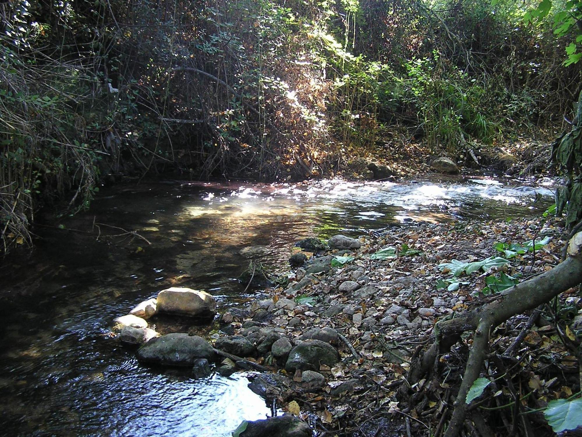 Napaimbe Sierra Benamahoma Exterior foto